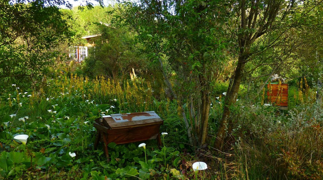 Boutique Vintage Forest Cabin Stormsrivier Exteriör bild
